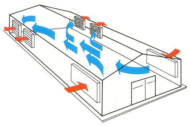 Elostar ES 140 Stallventilator 230 V – Rotor 129 cm, 35.000 m³/h Luftleistung für Pferdestall und Reithalle